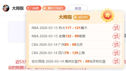 “2025赛季中国职业足球联赛参赛俱乐部名单全览”